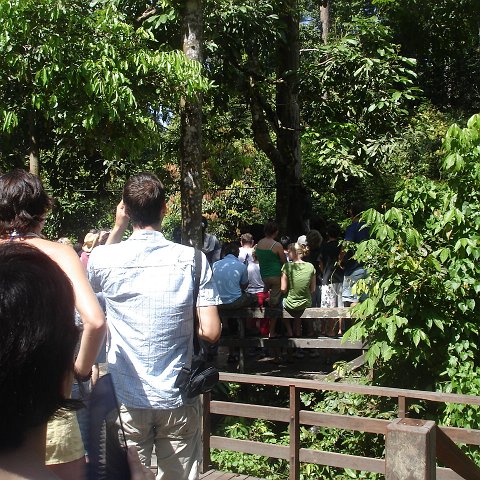 trip to Orangataun park (34)