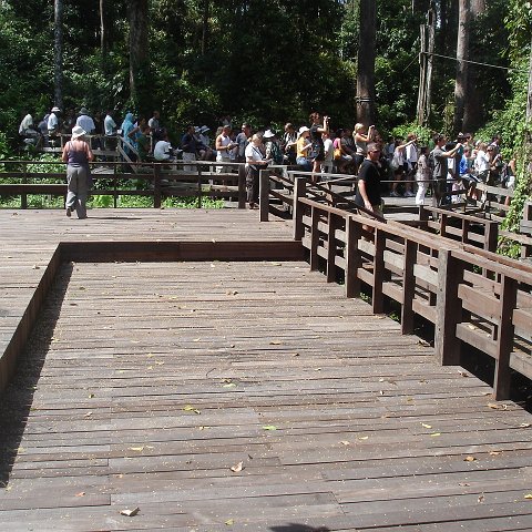 trip to Orangataun park (36)
