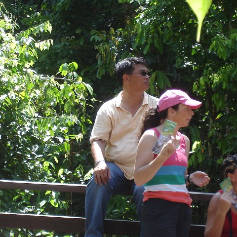 trip to Orangataun park (44)