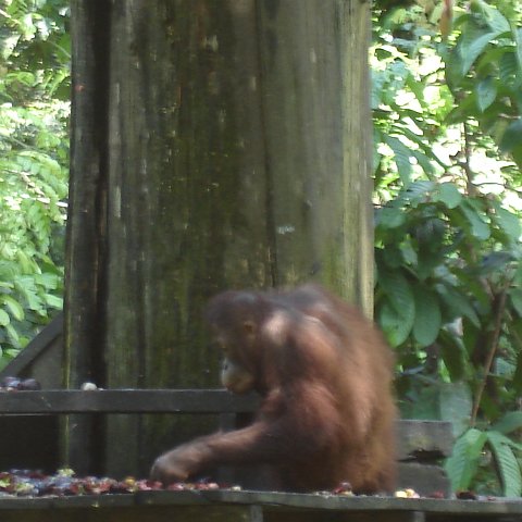 trip to Orangataun park (52) trip to Orangataun park (52)