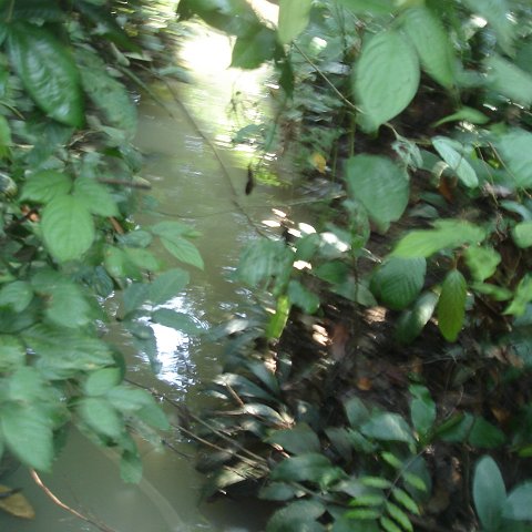 trip to Orangataun park (62) trip to Orangataun park (62)