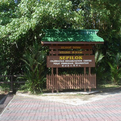 trip to Orangataun park
