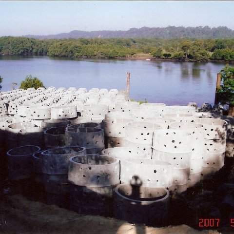 Image1 Image1