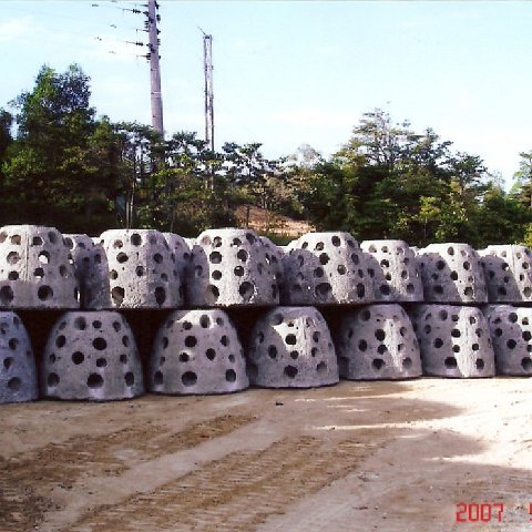 Image3 Image3