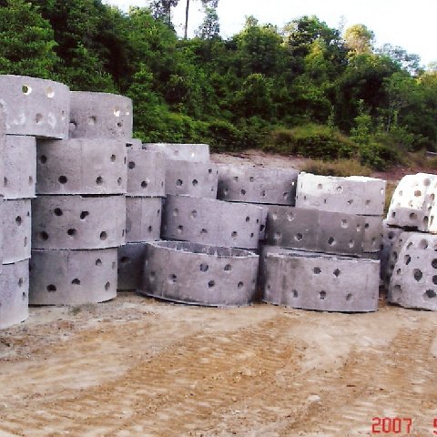 Image4 Image4