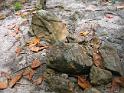 geology