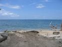 turtleviews