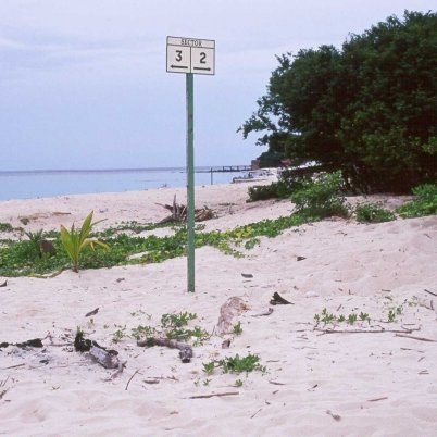 selingaan_beach1_sabah_1999 selingaan_beach1_sabah_1999