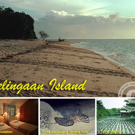 selingaan_tour selingaan_tour