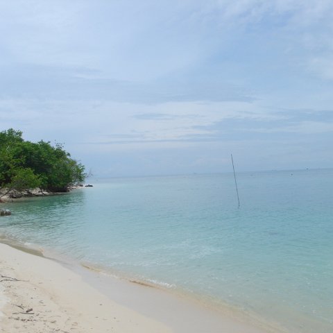 DSC00673 DSC00673