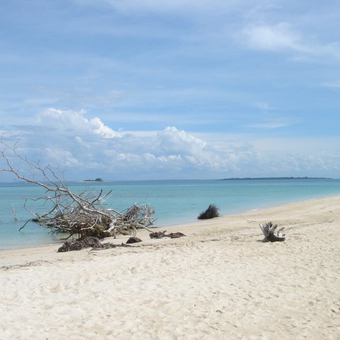 DSC00674 DSC00674