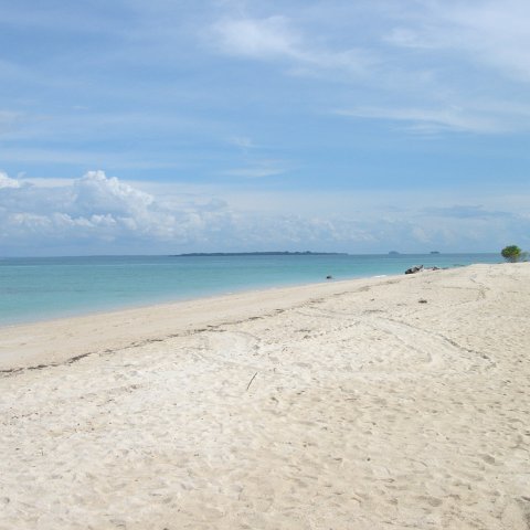 DSC00675 DSC00675