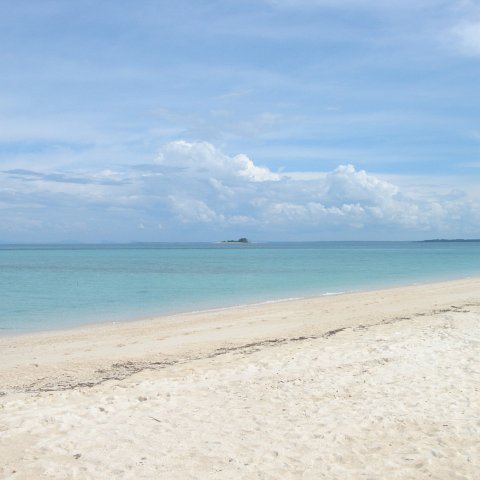 DSC00676 DSC00676