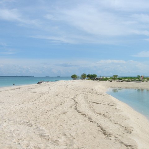 DSC00677 DSC00677