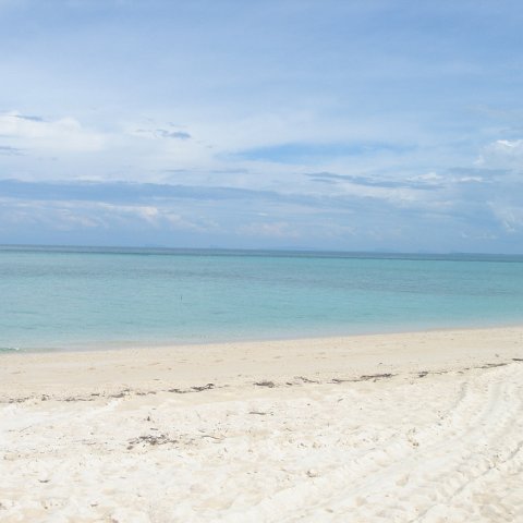 DSC00679 DSC00679