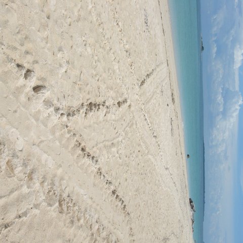 DSC00680 DSC00680