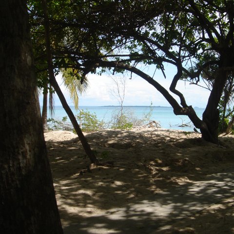 DSC00682 DSC00682