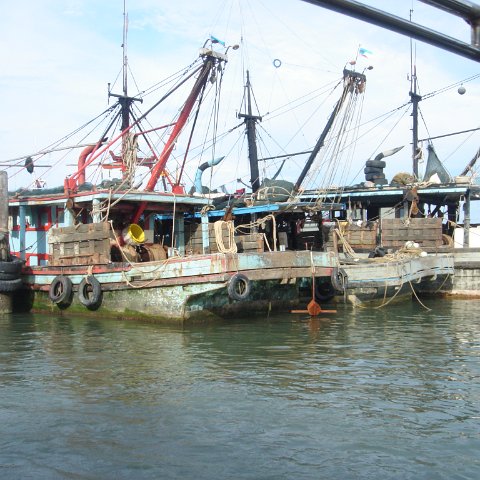 DSC00684 DSC00684