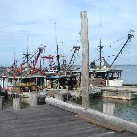 DSC00685 DSC00685