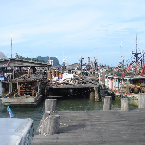 DSC00690 DSC00690