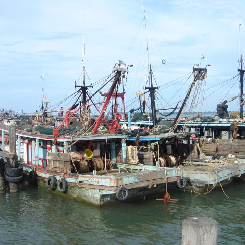 DSC00691 DSC00691