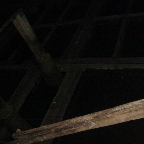 DSC00703 DSC00703