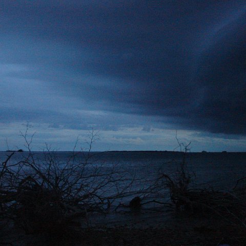DSC00726 DSC00726