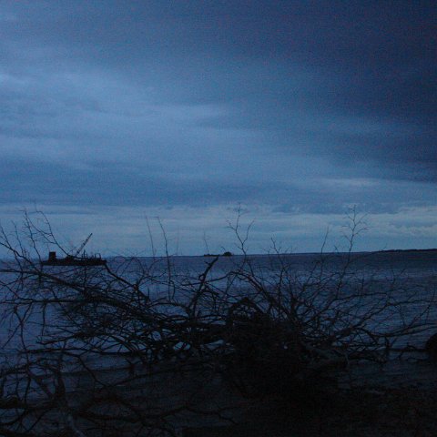 DSC00727 DSC00727