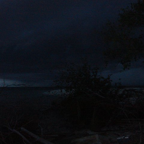 DSC00728 DSC00728