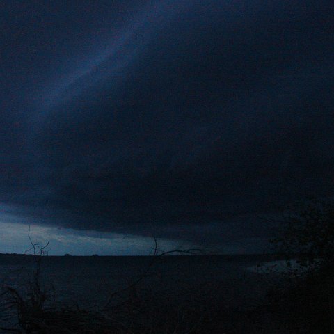 DSC00729 DSC00729