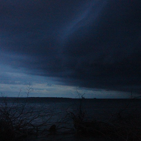 DSC00730 DSC00730