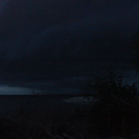 DSC00731 DSC00731