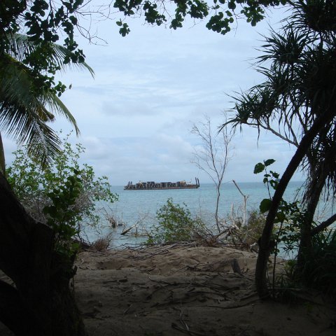 DSC00734 DSC00734