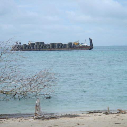 DSC00736 DSC00736