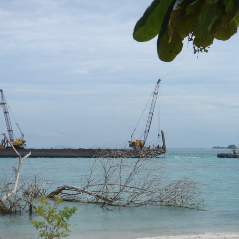 DSC00739 DSC00739