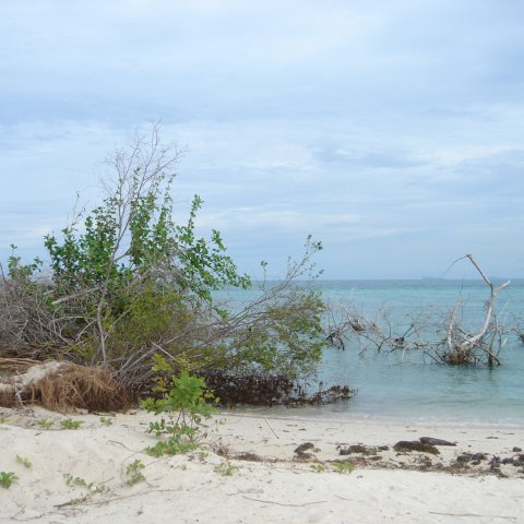 DSC00743 DSC00743
