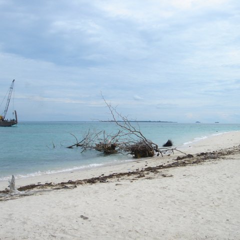DSC00746 DSC00746