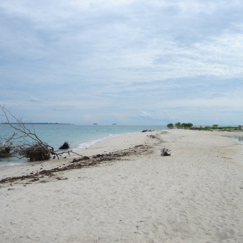 DSC00747 DSC00747