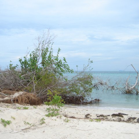 DSC00748 DSC00748