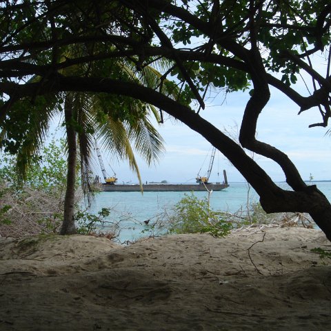 DSC00749 DSC00749