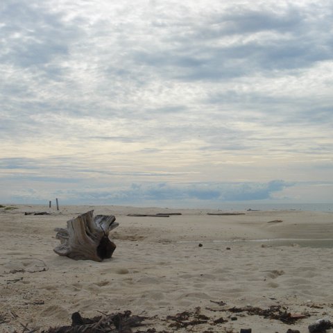 DSC00759 DSC00759