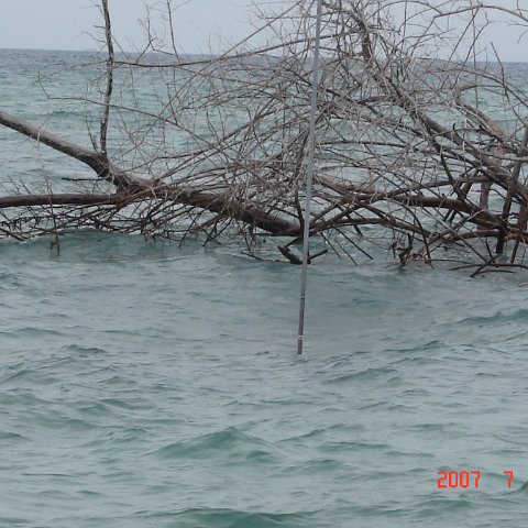 DSC01593 DSC01593