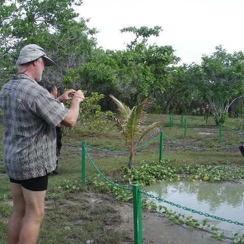 initial trip to selinga-survey all 3 isl (34) initial trip to selinga-survey all 3 isl (34)