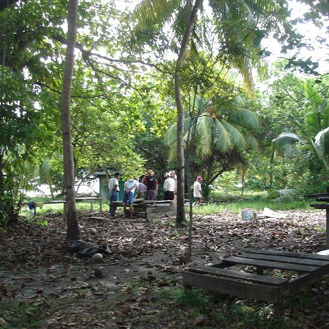 initial trip to selinga-survey all 3 isl (45) initial trip to selinga-survey all 3 isl (45)