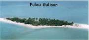 pulaugulisaan