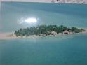 pulaugulisaan