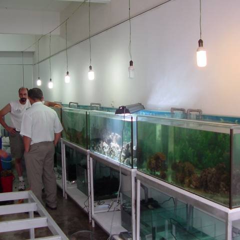 coralpropagationproject