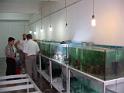 coralpropagationproject