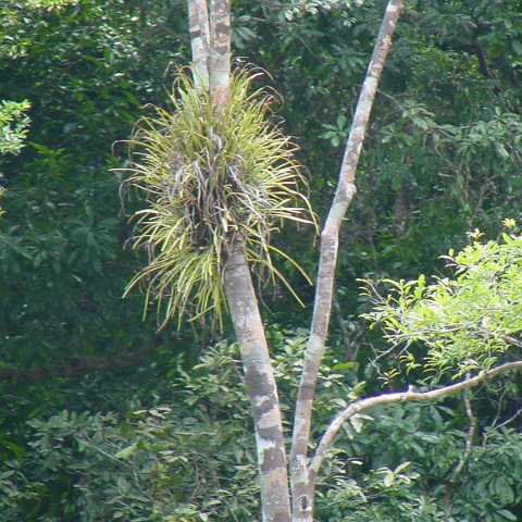 dsc00087