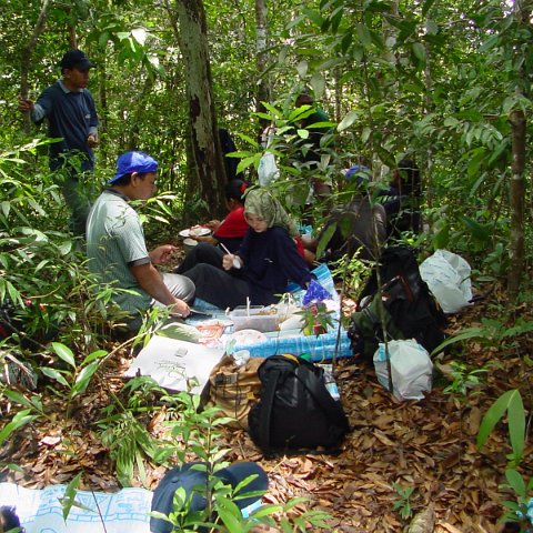 dsc00013